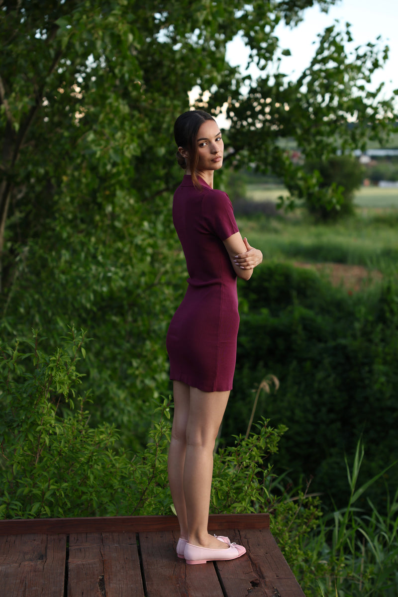 Knit Polo Mini Dress